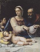 Sebastiano del Piombo The Madonna with the veil oil